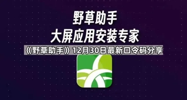 《野草助手》：12月30日最新口令码分享操作详解