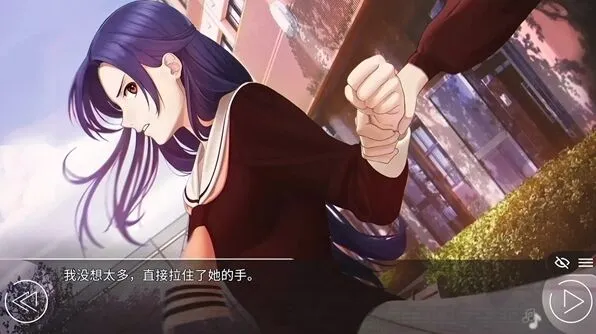 《隐藏的秘密》四位女主攻略下载