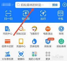 《支付宝》ios查看健康码URL代码方法详解