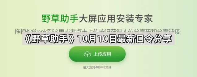 乐播投屏野草