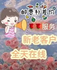 支付宝：花呗提前还款全部结清方法