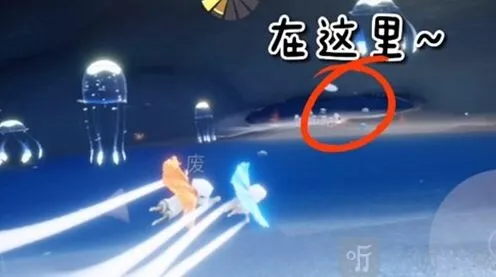 光遇介绍