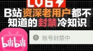 哔哩哔哩账号被封解决全攻略