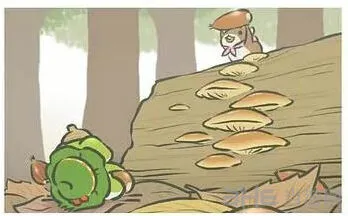 旅行青蛙树林中找栗子明信片完全指南