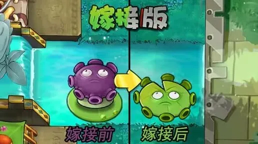 《植物大战僵尸》忧郁菇荷叶优缺点分析