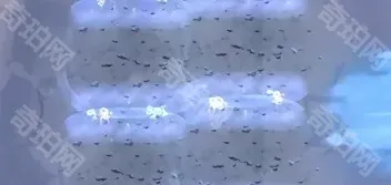 向僵尸开炮开炮