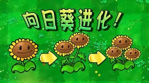植物大战僵尸豌豆射手