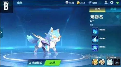 QQ飞车宠物大全