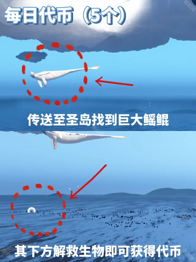 光遇收集