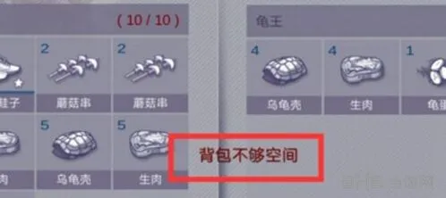 阿瑞斯病毒背包容量扩充技巧