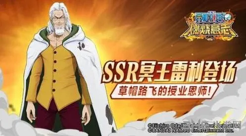 航海王燃烧意志雷利伤害攻略指南
