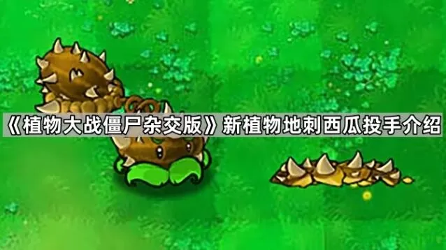 植物大战僵尸杂交版新植物地刺西瓜投手解析