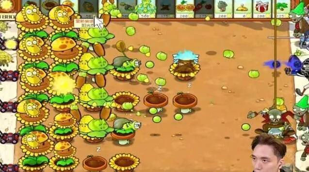 植物大战僵尸攻略