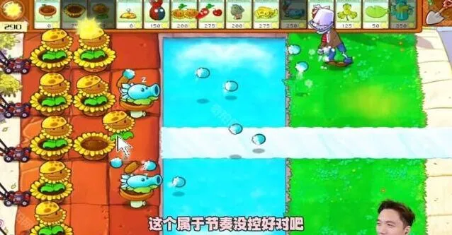 植物大战僵尸通关