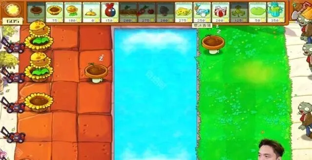 植物大战僵尸杂交