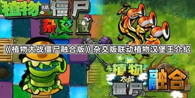 植物大战僵尸杂交版联动植物汉堡王详解
