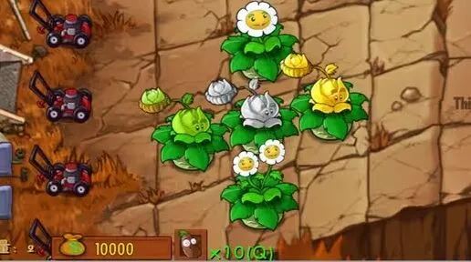 植物大战僵尸卷心菜