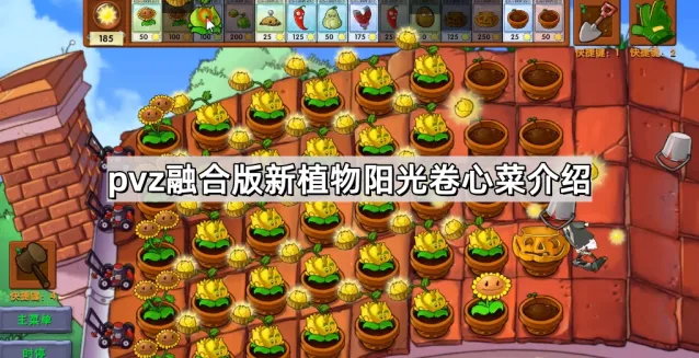 植物大战僵尸卷心菜