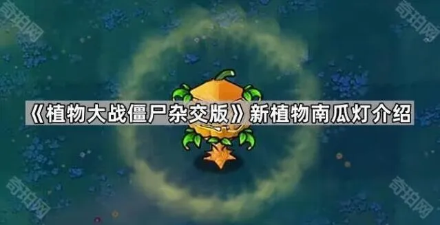 《植物大战僵尸》南瓜灯新植物攻略指南