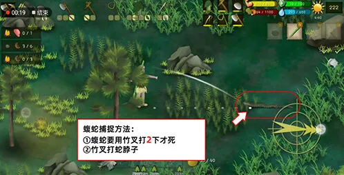 罗马尼亚高山蝮蛇捕捉指南分享