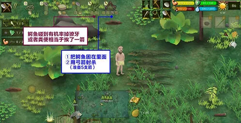 挨饿荒野沼泽丛林捕捉鳄鱼心得