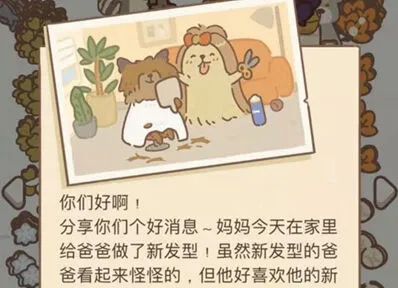 动物餐厅约克夏宝宝信件配方介绍