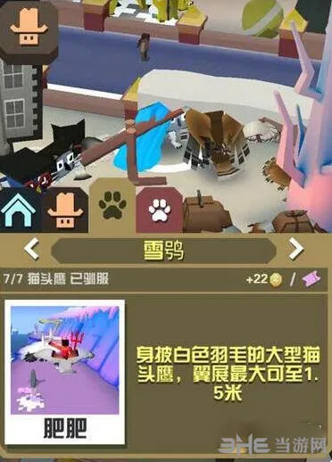 疯狂动物园稀有雪鸮图鉴指南