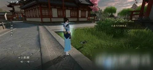《遇见》洞中之人奇遇任务玩法详解指南
