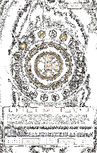 命运选择