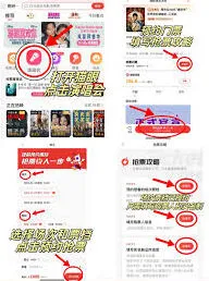 支付宝演唱会票获取方法指南