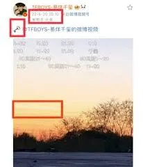 微博动态