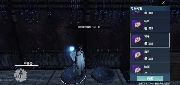妄想山海宠物携带上限问题怎么办