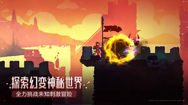 庇护所二细胞通关攻略技巧