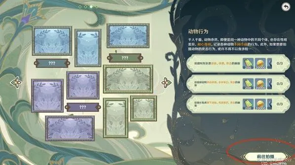 原神拍摄