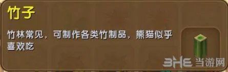 《一路》熊猫食物详解 喂养指南