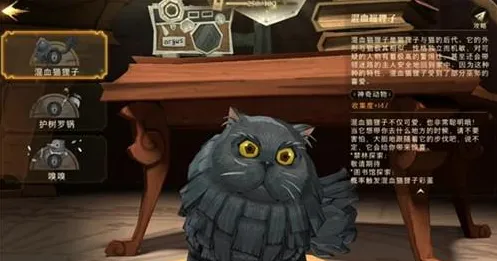 哈利波特魔法觉醒