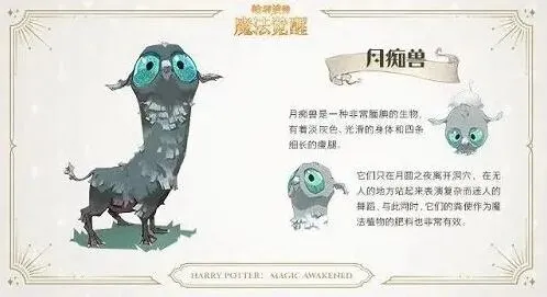 哈利波特动物