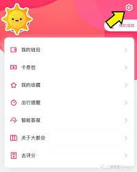 支付宝大都会