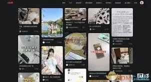小红书网页登录实用技巧