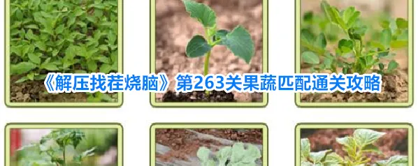 《解压找茬烧脑》第263关果蔬匹配通关攻略