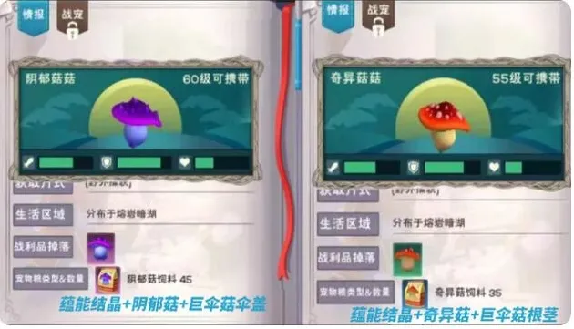 创造与魔法生命