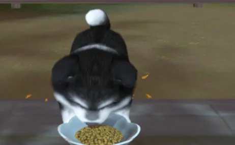 浮生忆玲珑浮生