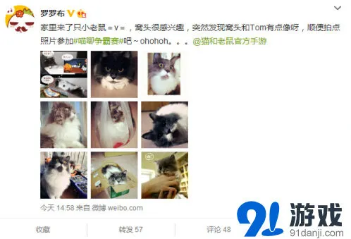 猫和老鼠还原