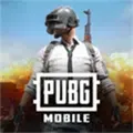 pubgmobile绝地求生韩服国际服