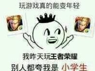 王者荣耀斗图表情包第166期收藏