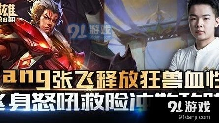 张飞教学视频老杨分享