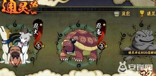 火影忍者通灵兽升星攻略技巧