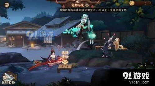 阴阳师宠物系统玩法 猫粮狗粮获得技巧