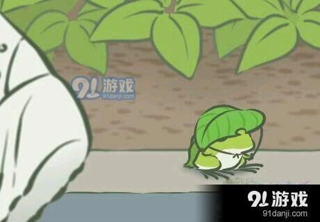 旅行青蛙新手攻略基础玩法教学