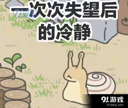 旅行青蛙蛙不归怎么办 看完不再慌